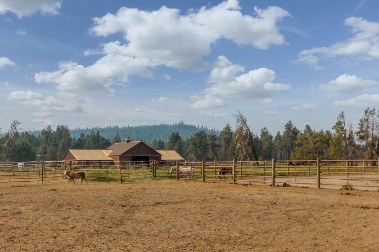 הוילה Ranch Cabin 12 | Discover סאנריבר מראה חיצוני תמונה